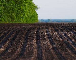 ФАО хоче досягнути нульового рівня деградації ґрунтів в Україні